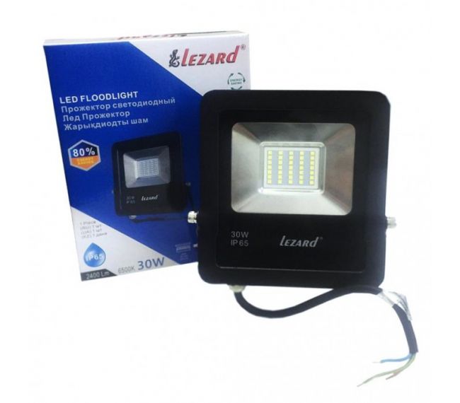 Прожектор LED Lezard диодный 30W ІР65 6500К - 2400LM PAL6530